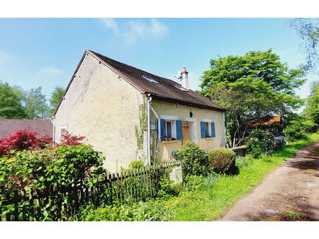 vente maison 6 pièces 107 m² treigny-perreuse-sainte-colombe (89520)