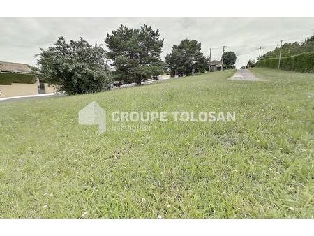 vente terrain 550 m² montrabé (31850)