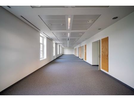 bureaux lumineux - moderne - cadre verdoyant