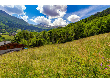 vallée de valmorel - grand terrain constructible sur un versant ensoleillé à seulement 7km