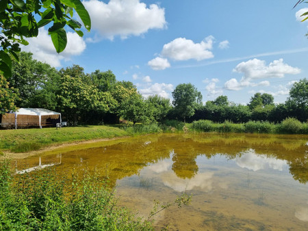 terrain de loisirs avec étang de pêche dans hameau calme proche de chateaubriant