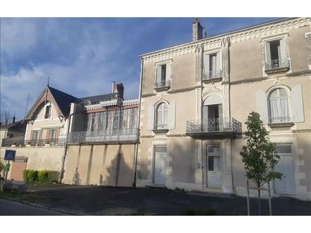 vente maison 13 pièces 245 m² châtillon-sur-indre (36700)
