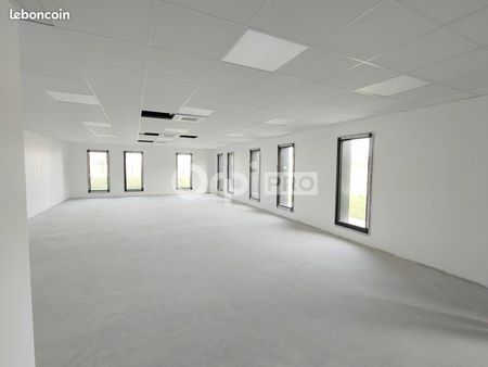 bureau 81 m²
