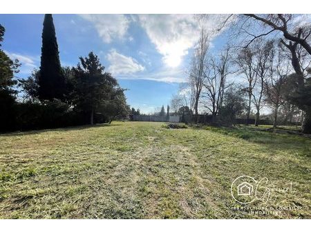 vente terrain 3659 m²