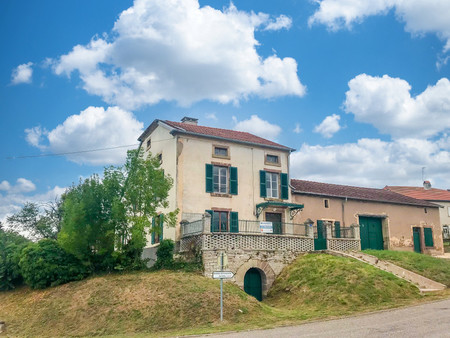maison de maître située sur un terrain de 2 200 m² surplombant la vallée de la saône.