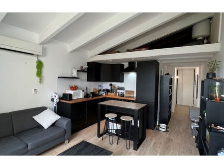 location appartement pour les vacances 2 pièces 36 m² saint-cyprien (66750)