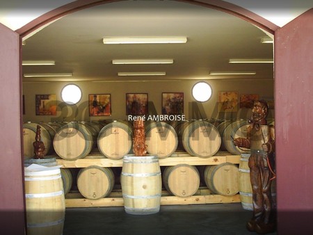 domaine viticole sur 18 ha en appellation medoc cru bourgeois avec tout le matériel de vin