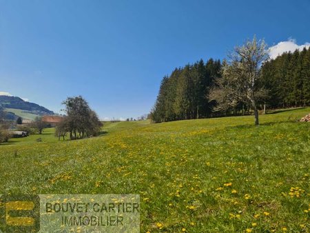 vente terrain 2500 m²