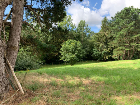 vente terrain  1064.00m²  saint