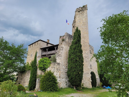 chateau medieval en viager occupe une tete