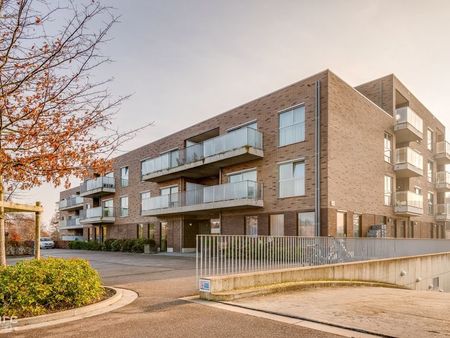 appartement à vendre à zolder € 199.500 (kgsgz) - swevers real estate | zimmo