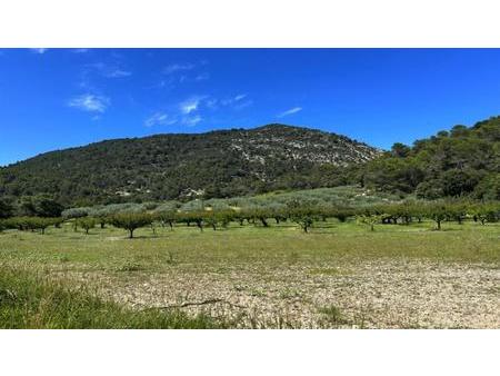 nyons - ancienne métairie du xviie  vue panoramique  au coeur de 22 hectares d'oliviers  v