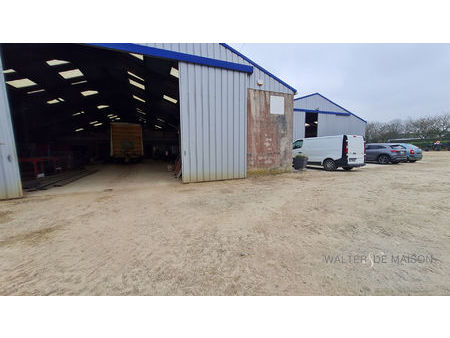local commercial 886 m2