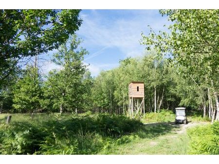 vente propriété de chasse de luxe lamotte-beuvron 13 pièces 710 m²