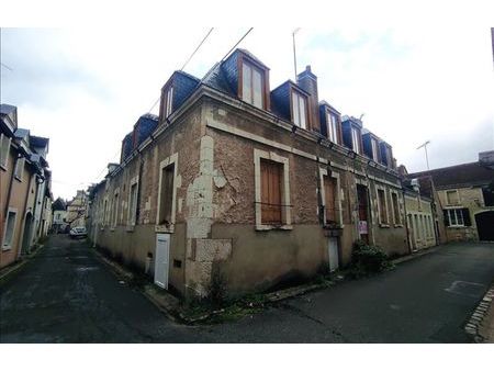vente immeuble selles-sur-cher (41130)