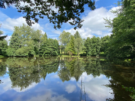 fabuleux étang de loisirs avec petit ilot et deuxième étang situé proche de st yrieix la p