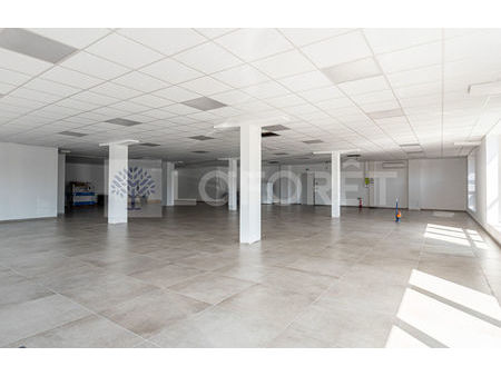 location commerce 300 m² sillingy (74330)