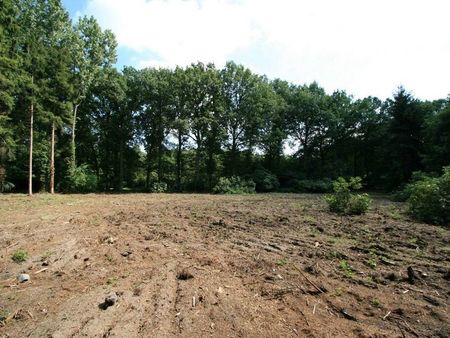 terrain à vendre à oud-turnhout € 285.000 (ki1k1) - hillewaere turnhout | logic-immo + zim