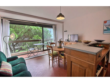 vente appartement 3 pièces 50 m² saint-cyprien (66750)