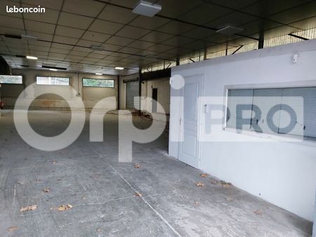local commercial 350 m²