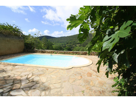hérault : près de saint chinian  magnifique propriété avec maison  gîte  piscine dans un h