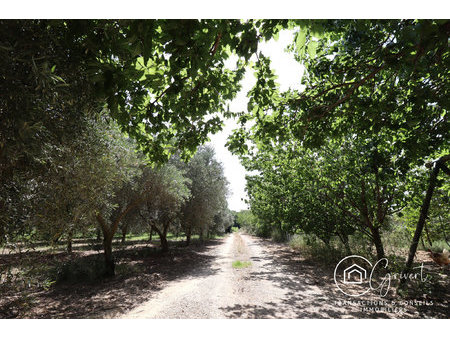 terrain agricole et de loisirs 10 269 m2 oliveraie riviere s