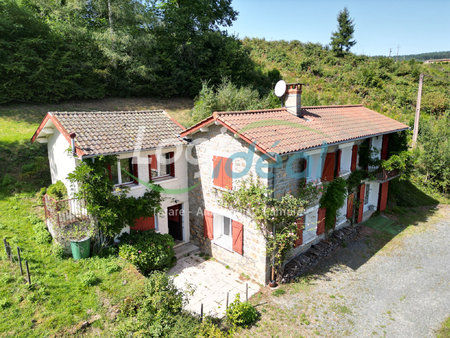 cadre bucolique pour cette charmante maison en pierre située