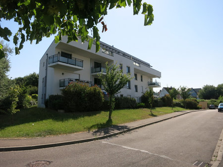 hoenheim - a vendre rdc 3 pieces 65 m2 avec grande terrasse