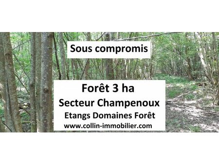 en vente terrain constructible 300 ares – 18 600 € |champenoux