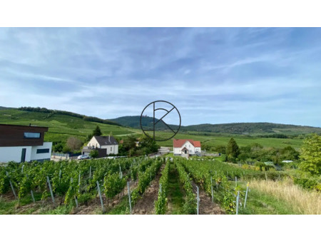 terrain en vente à rodern : village viticole de rodern. au pied du haut koenigsbourg et du