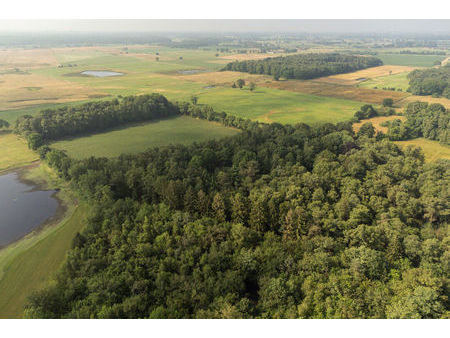 bosgrond met weiland van ca 35.791 m².