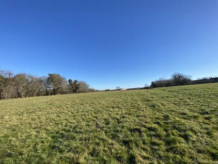 terrain constructible dans environnement boisé