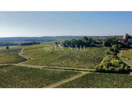 vignoble en vente à bergerac : ref.4202 : domaine viticole à vendre dans le périgord pourp