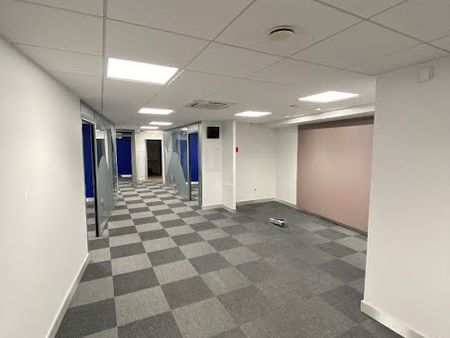 location locaux professionnels 100 m²