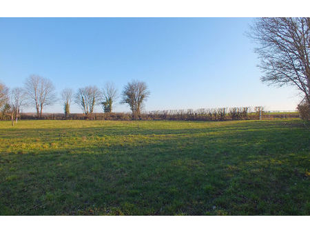 vente terrain 6500 m² musigny (21230)