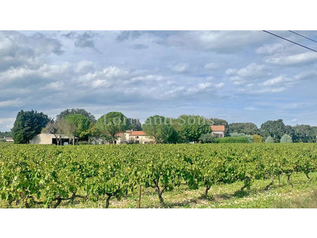 domaine viticole de 14ha avec 10ha plantés en aop village