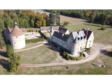 château en vente à saint-amand-montrond : vaste château des xvie et xixe siècles de 828 m²
