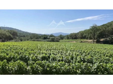 vignoble en vente à grimaud : située entre collines et mer  cette propriété viticole d'env