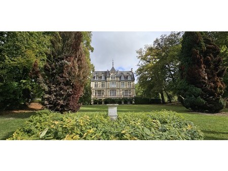 château à vendre à chinon