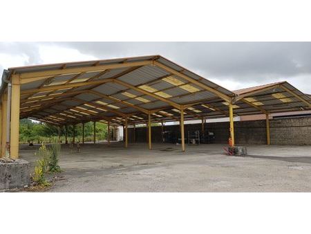 hangar pour stockage  logistique ou activité industrielle