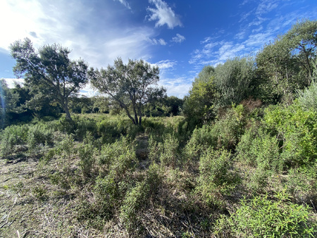 terrain - 12 588m² - figari