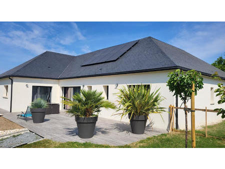 vente maison piscine à saint-mars-la-jaille (44540) : à vendre piscine / 202m² saint-mars-