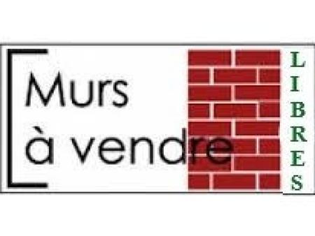 vente bureaux et commerces à talmont-saint-hilaire (85440) : à vendre / 100m² talmont-sain