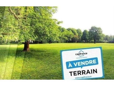 vente terrain 2384 m² lhommaizé (86410)