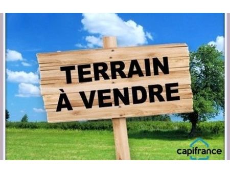 vente terrain 3891 m² lhommaizé (86410)