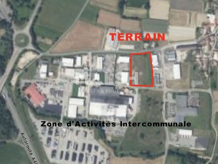 terrain - 10 146m²