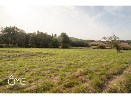 terrain - 3 000m² - st pantaleon de larche