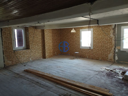 rénovation - investisseur ou résidence familiale 7 pièces 360 m²