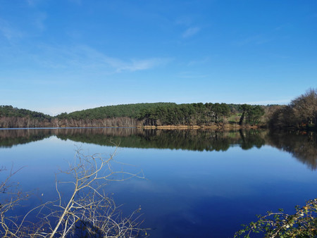 18 ha  parc de loisirs incl. lac de pêche de 12 ha  3 chalets actuellement  bivouac-campin