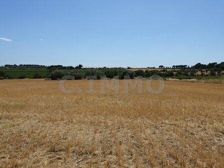 grand terrain agricole 18 980 m²